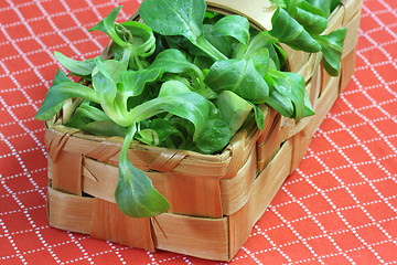 Image showing Corn salad