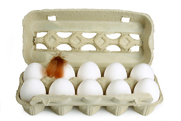 Image showing Fresh Eggs