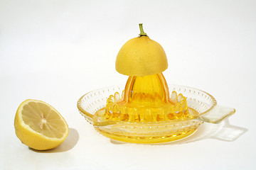 Image showing Lemon juicer