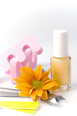 Image showing pedicure beauty set