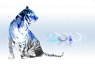 Image showing 2010 year of the tiger