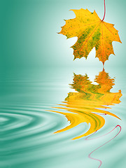 Image showing Golden Leaf Movement