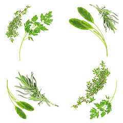 Image showing Herb Selection