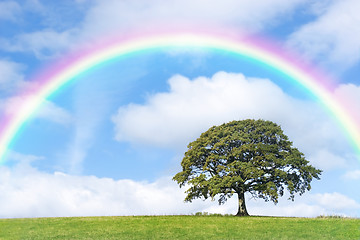 Image showing Rainbow Day