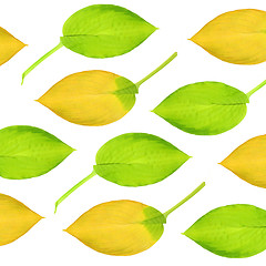 Image showing Hosta Leaf Design