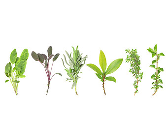 Image showing Line of Herbs