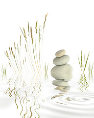 Image showing Pebbles, Grasses and Bamboo