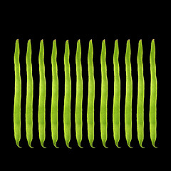 Image showing Runner Bean Design