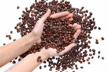 Image showing Coffee beans in hands