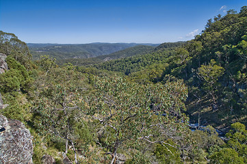 Image showing looking out over the forests