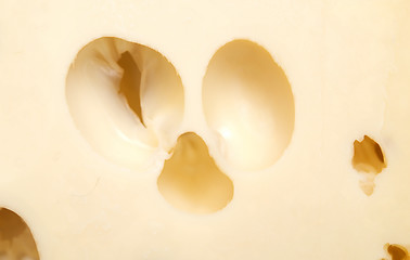 Image showing cheese