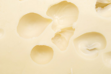 Image showing cheese 