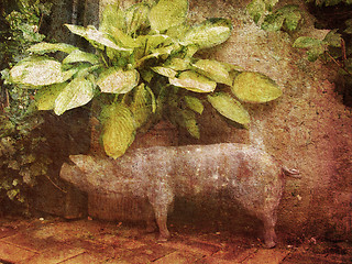 Image showing Retro patio with pig