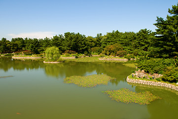 Image showing Gardening