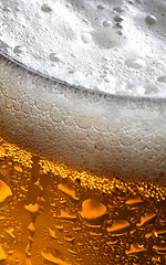 Image showing Close up photo of beer