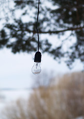 Image showing lamp bulb