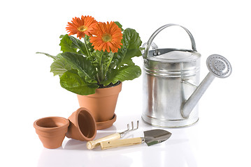 Image showing gardening