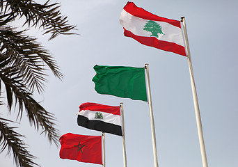 Image showing Arab league flags