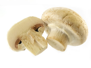 Image showing fresh champignon 