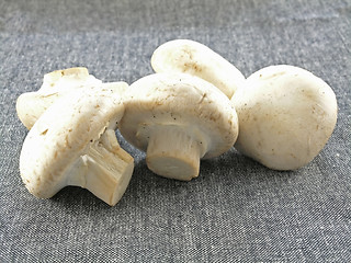 Image showing fresh champignon 