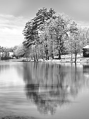 Image showing Reflections of winter