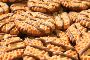 Image showing Chocolate Striped Shortbread Cookies