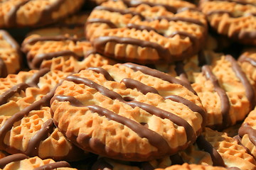 Image showing Chocolate Striped Shortbread Cookies