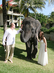 Image showing Just married couple