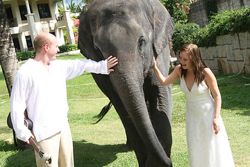 Image showing Just married couple