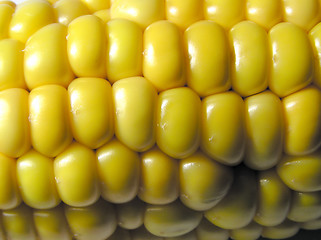 Image showing Corn