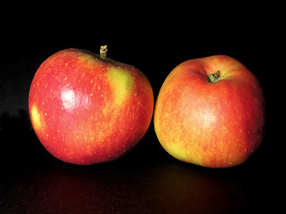 Image showing Apples