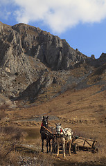 Image showing Trascau mountains