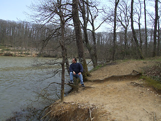 Image showing sitting on dead roots