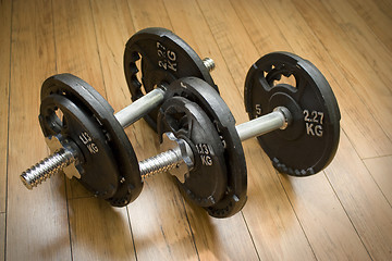 Image showing Dumbells