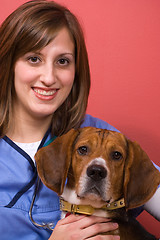 Image showing Veterinarian With a Beagle