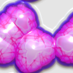 Image showing Purple Brains