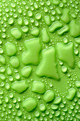 Image showing Water drops