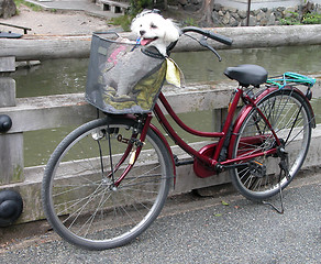 Image showing Funny Bicycle