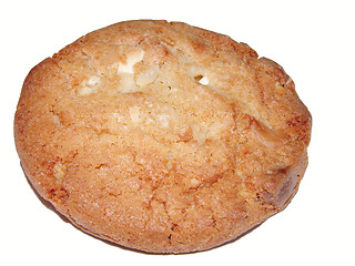 Image showing Biscuit