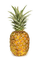 Image showing Pineapple