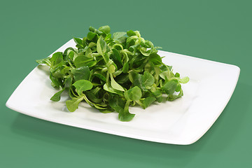 Image showing Field salad