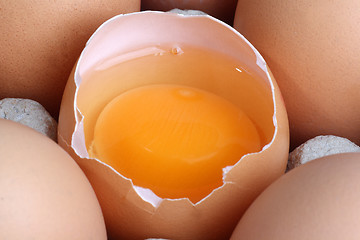 Image showing Fresh eggs