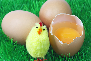 Image showing Decorative brown eggs