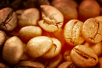 Image showing Coffee beans