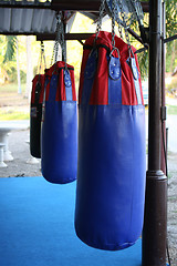 Image showing Boxing bags