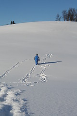 Image showing walking in the snow