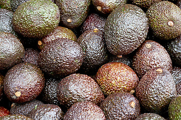 Image showing Avocado brown