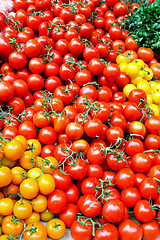 Image showing Cherry tomato vertical