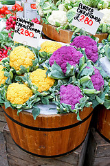 Image showing Colorful cauliflowers