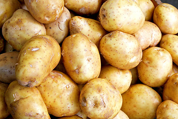 Image showing Potato horizontal